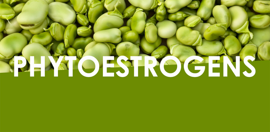 Phytoestrogen là gì?