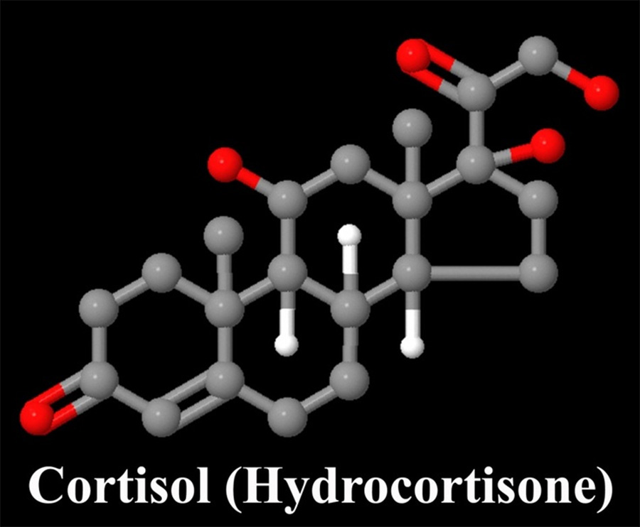 Cortisol bị gia tăng do căng thẳng thường xuyên là nguyên nhân gây thấp đi nội tiết tố nữ estrogen