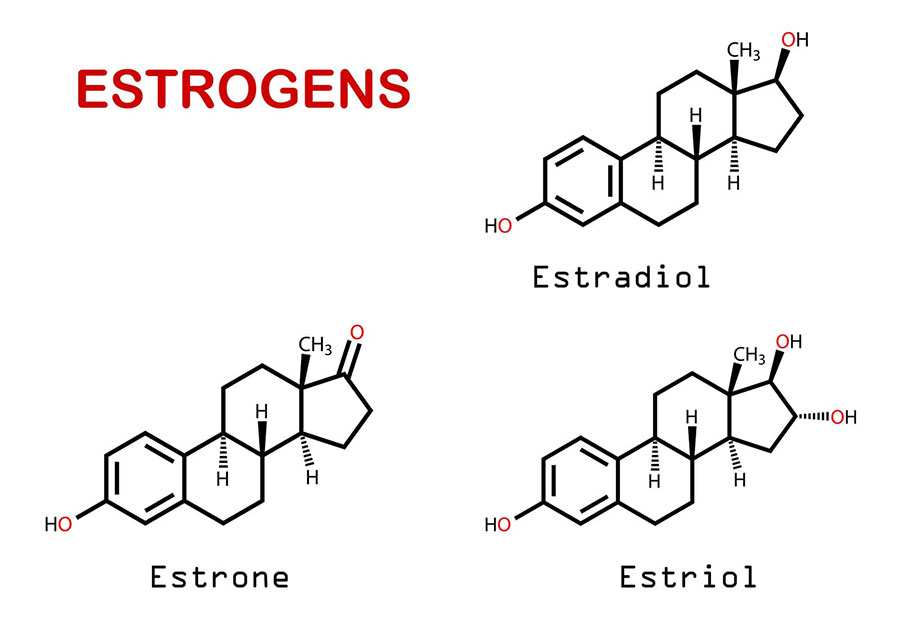 Nội tiết tố yếu nhất trong 3 loại estrogen là Estriol