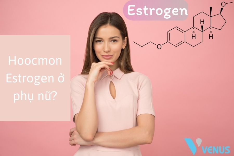 Vai trò của Hoocmon estrogen đối với phụ nữ
