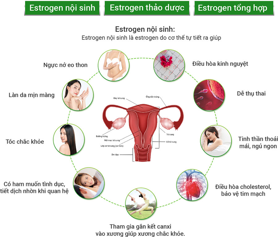 Thiếu hụt hoocmon estrogen ảnh hưởng đến tâm sinh lý phụ nữ