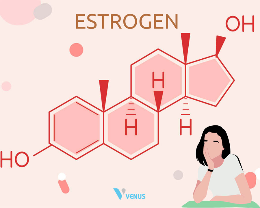 Các loại thực phẩm cân bằng nội tiết tố nữ estrogen giúp bổ sung nội tiết tố nữ từ thiên nhiên