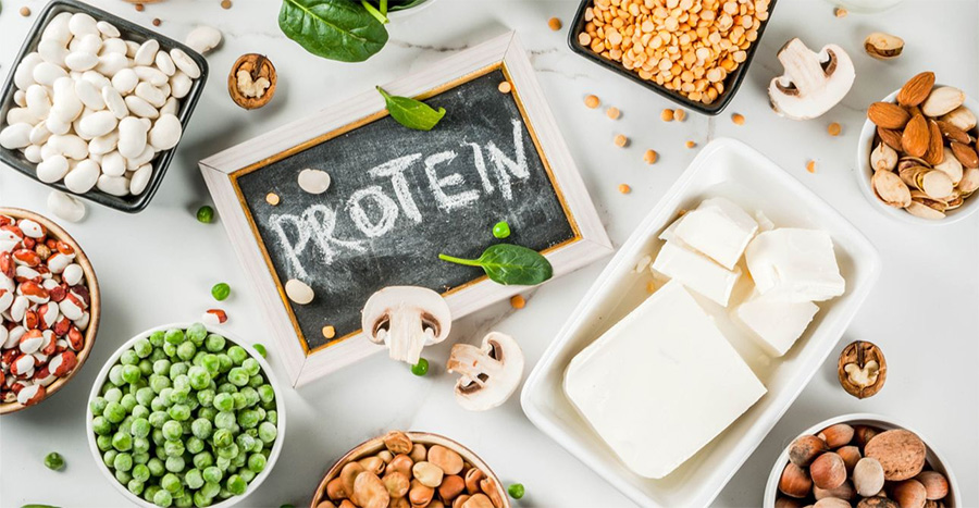 thực phẩm giàu protein cho người giảm cân
