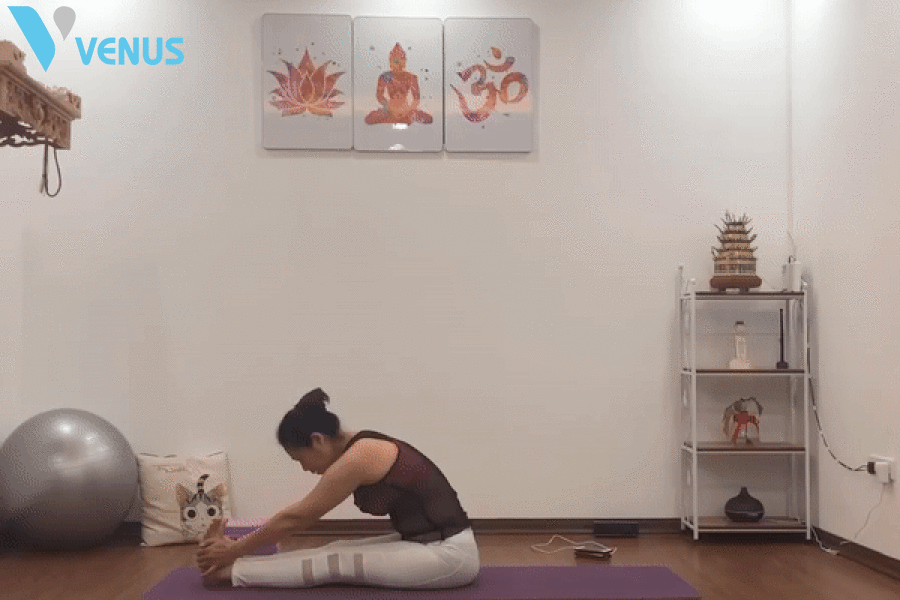 Những bài tập giảm cân với tư thế ngồi gập người trong yoga